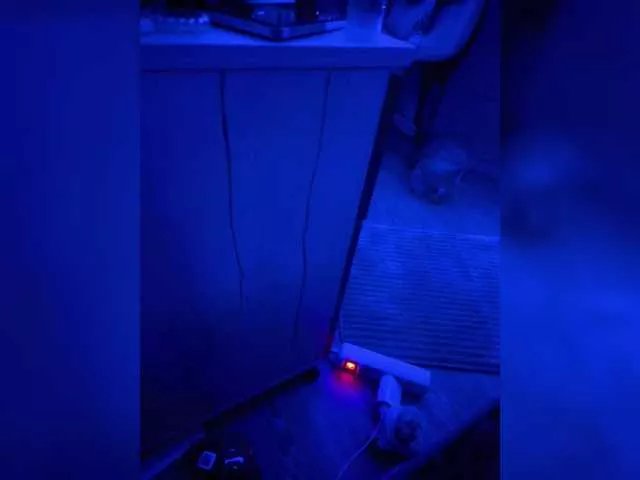 Offline azora22 on BongaCams