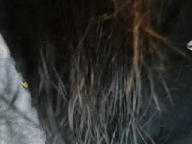 Bet-Lu on BongaCams 
