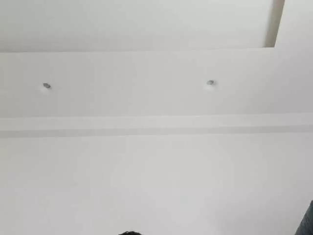 bubble-gum122 on BongaCams 