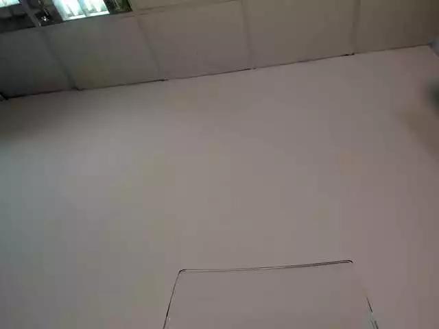 LisaAkira on BongaCams 
