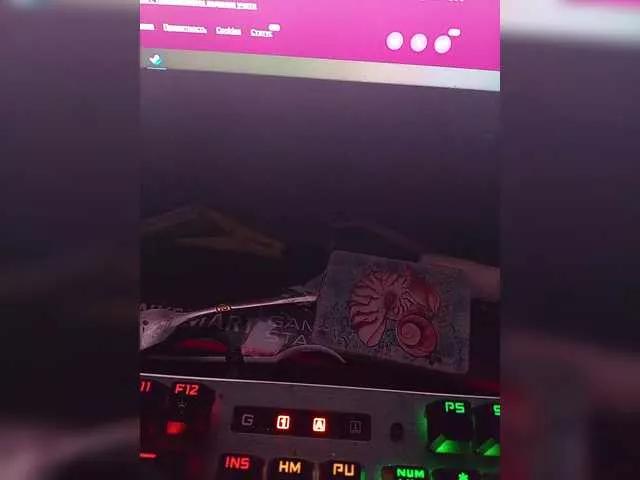Para313 on BongaCams 
