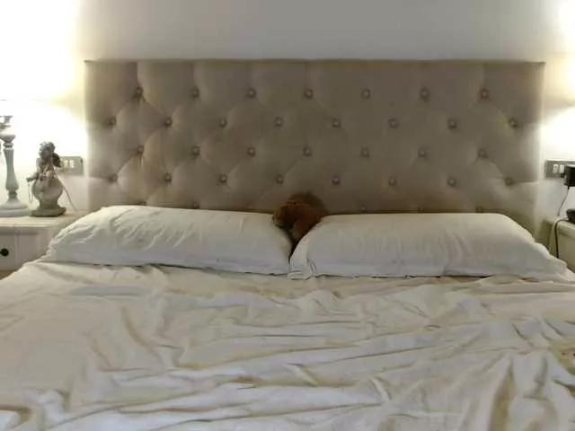 Perri-Shy on BongaCams 