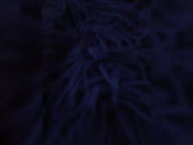 Qeen777 on BongaCams 