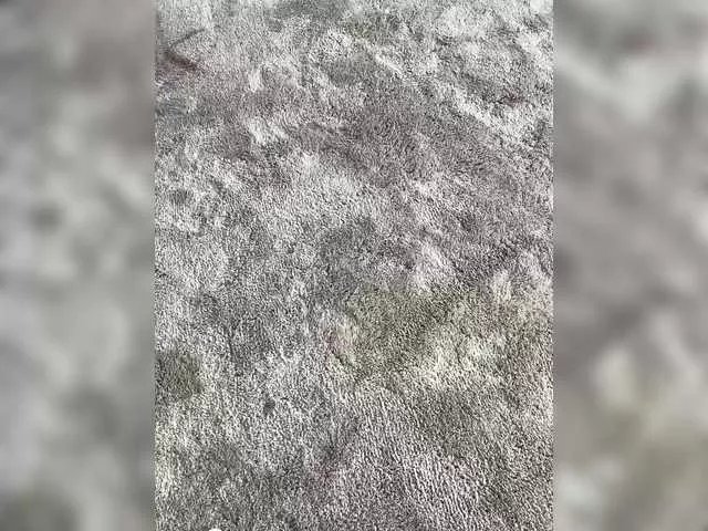 Offline SophieMary on BongaCams