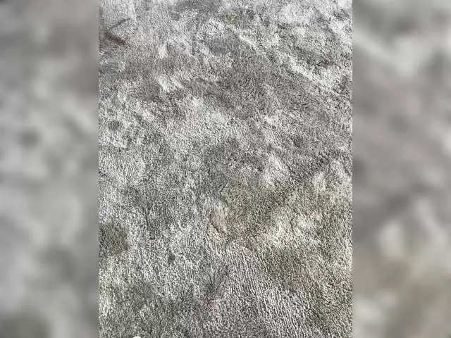 Offline SophieMary on BongaCams