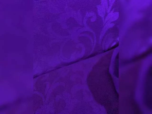 Offline XaSeen on BongaCams