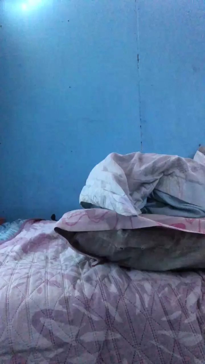 Offline Afroditaasex on Cam4