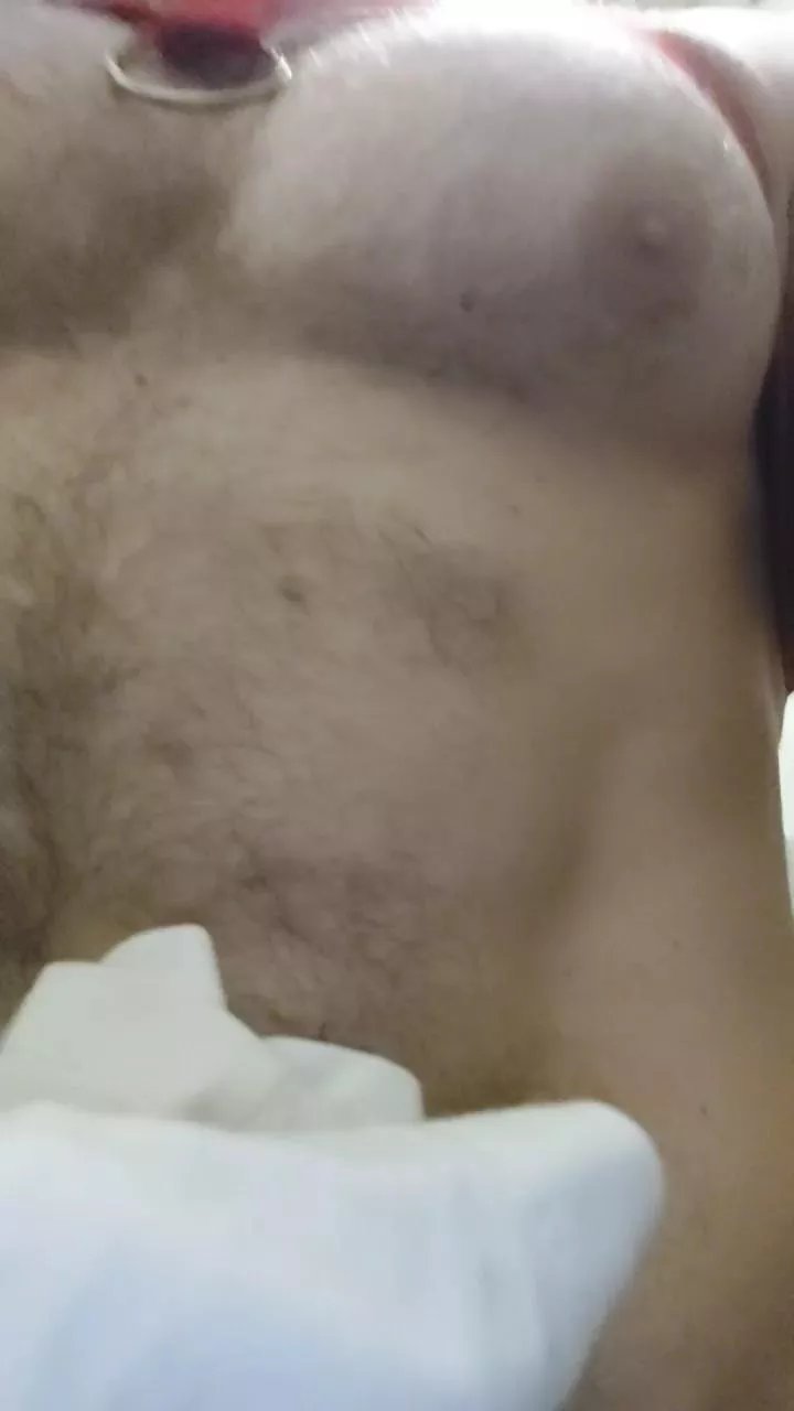 Offline calienteXXX261 on Cam4