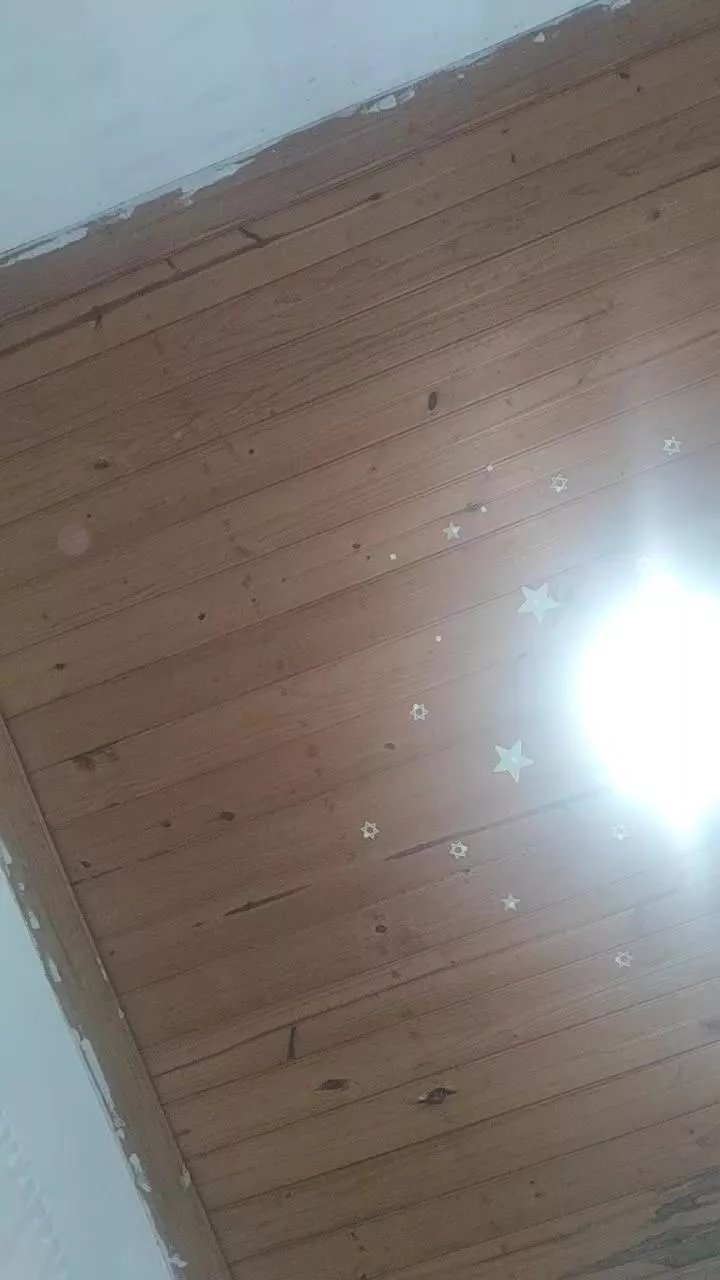 Offline Casalnovinhos19 on Cam4