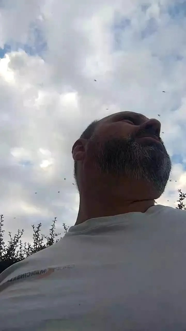 Offline daariu on Cam4