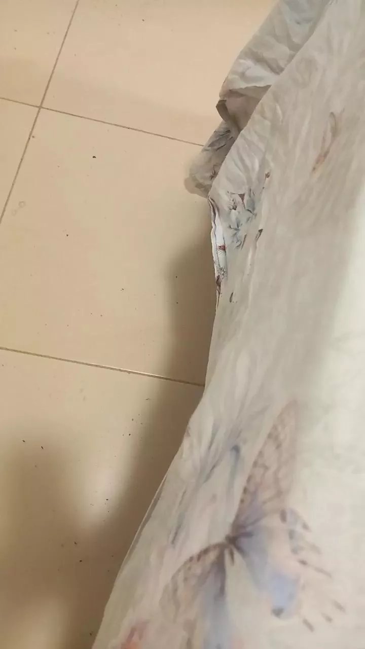 Offline elgefe80 on Cam4