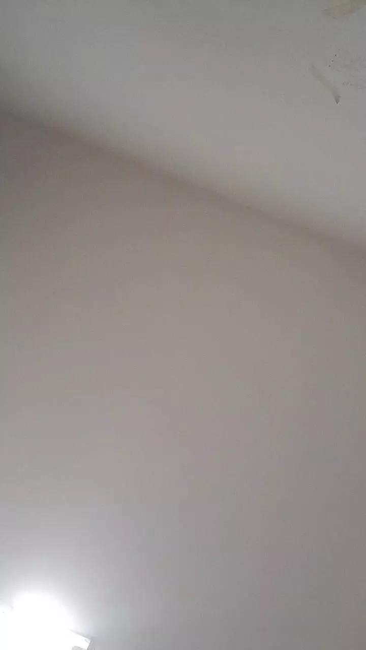fernando3376 on Cam4 