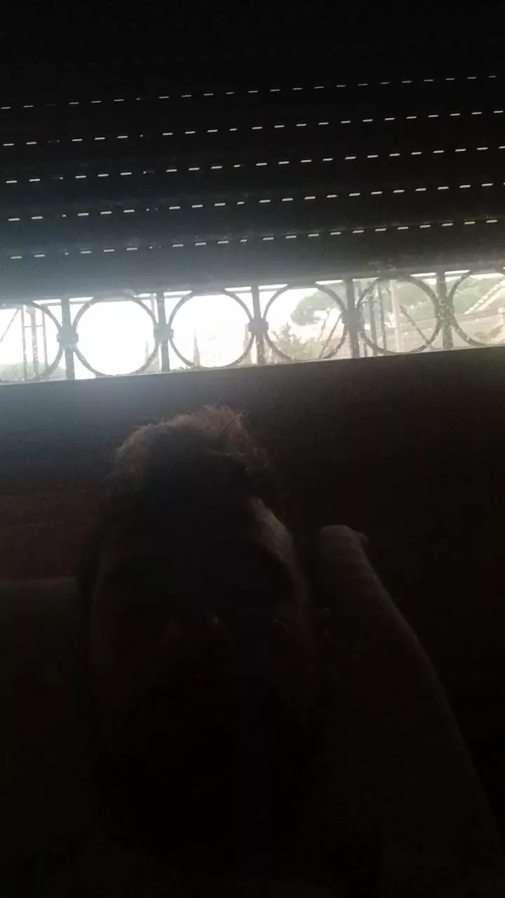 Offline Giebi2 on Cam4