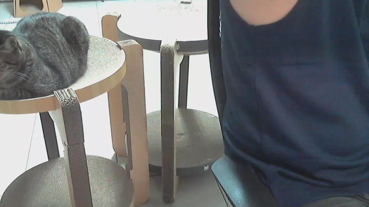 goldstar1990 on Cam4 