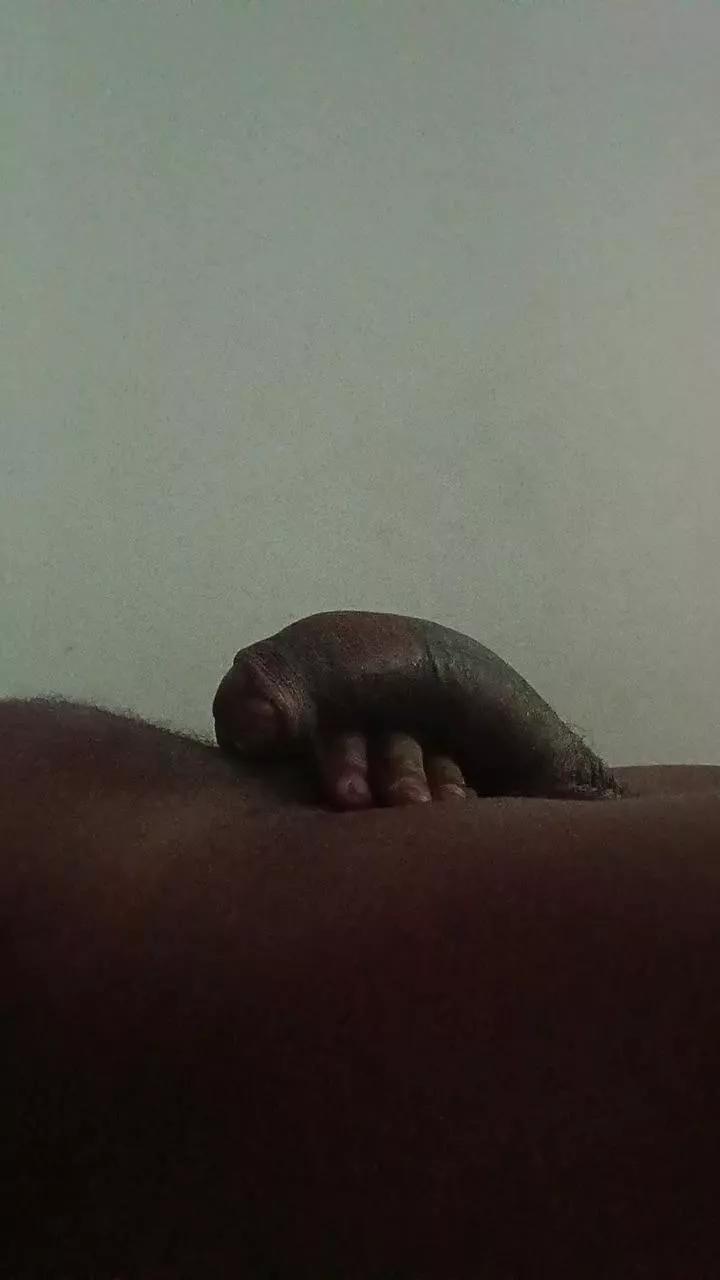 lapada89 on Cam4 