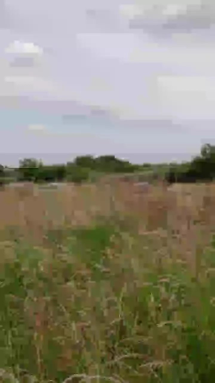 Offline michelle4uXfun on Cam4