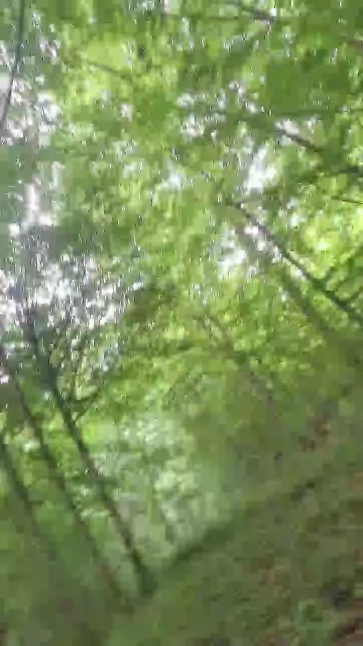 Offline mika102402 on Cam4