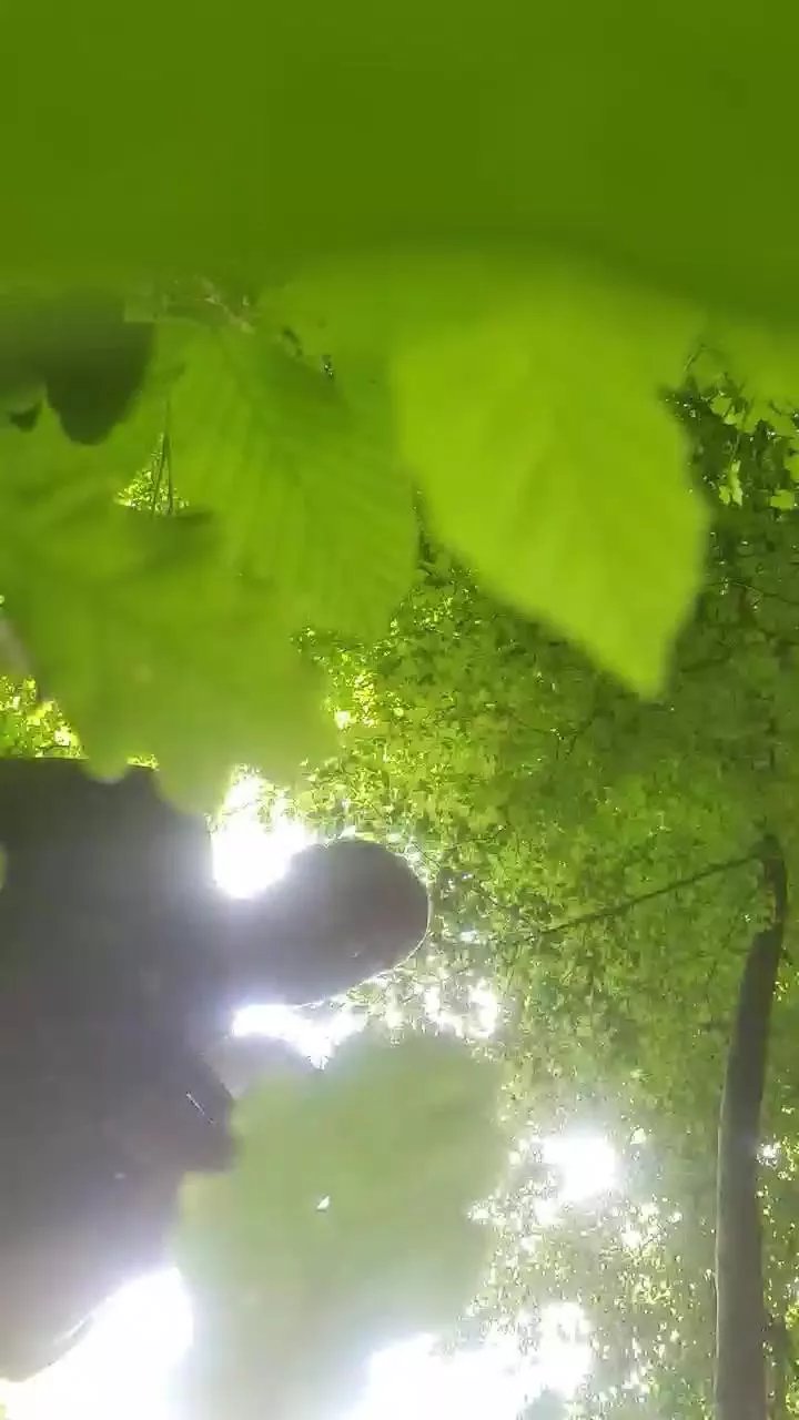 Offline mika102402 on Cam4