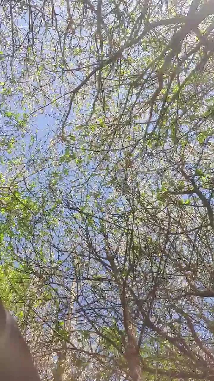 Offline mika102402 on Cam4