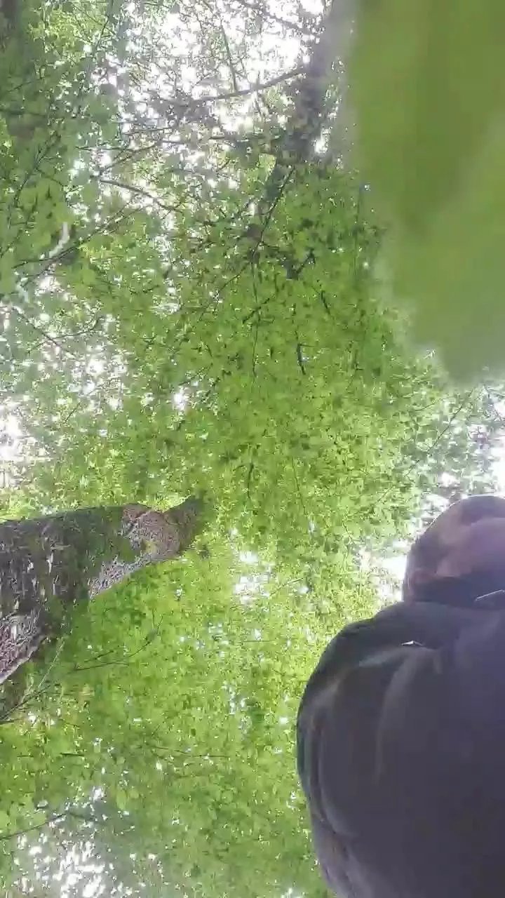 Offline mika102402 on Cam4