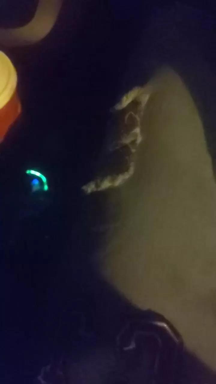 Misterteaser on Cam4 
