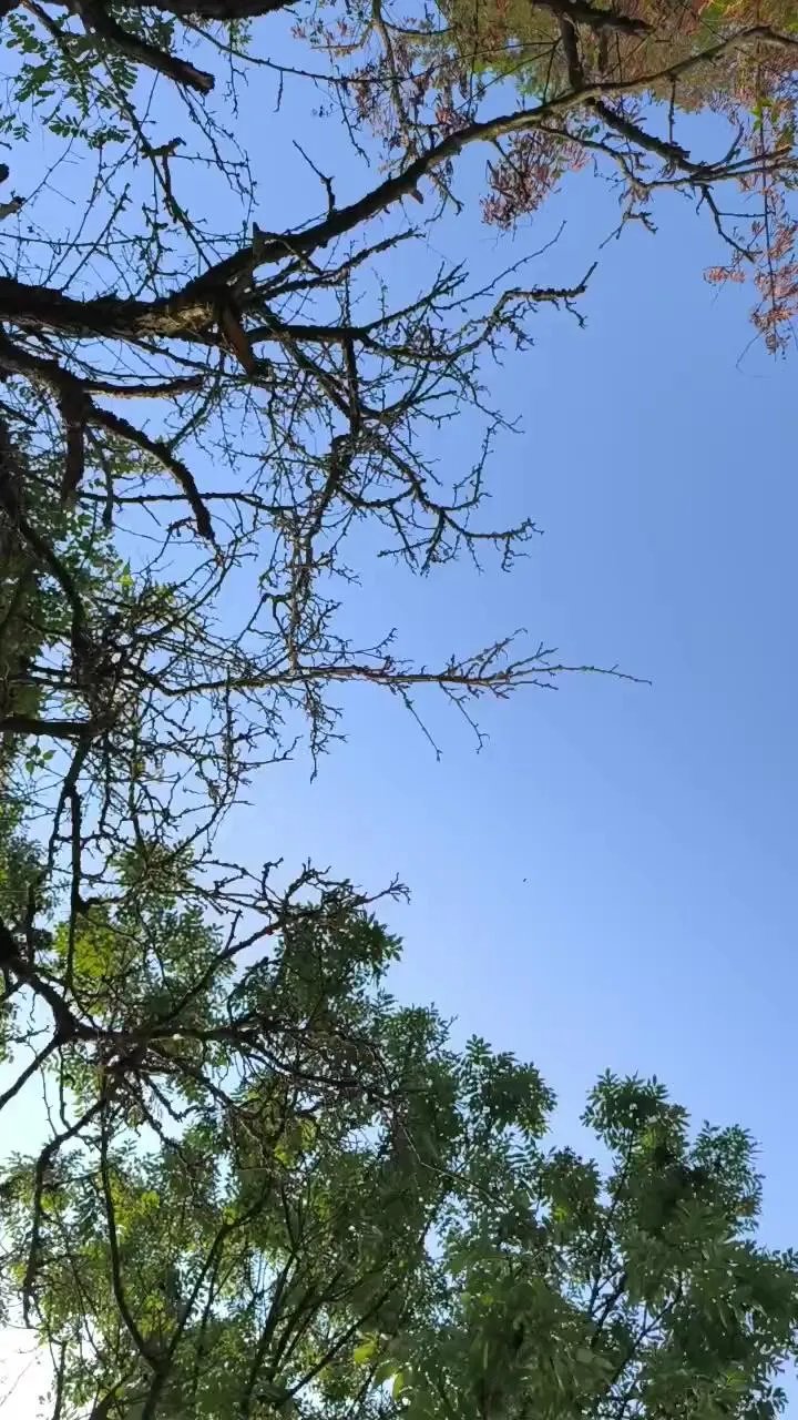 Offline pegg_cunilingus on Cam4