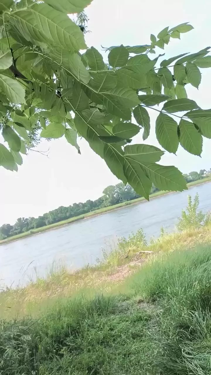 Offline pegg_cunilingus on Cam4