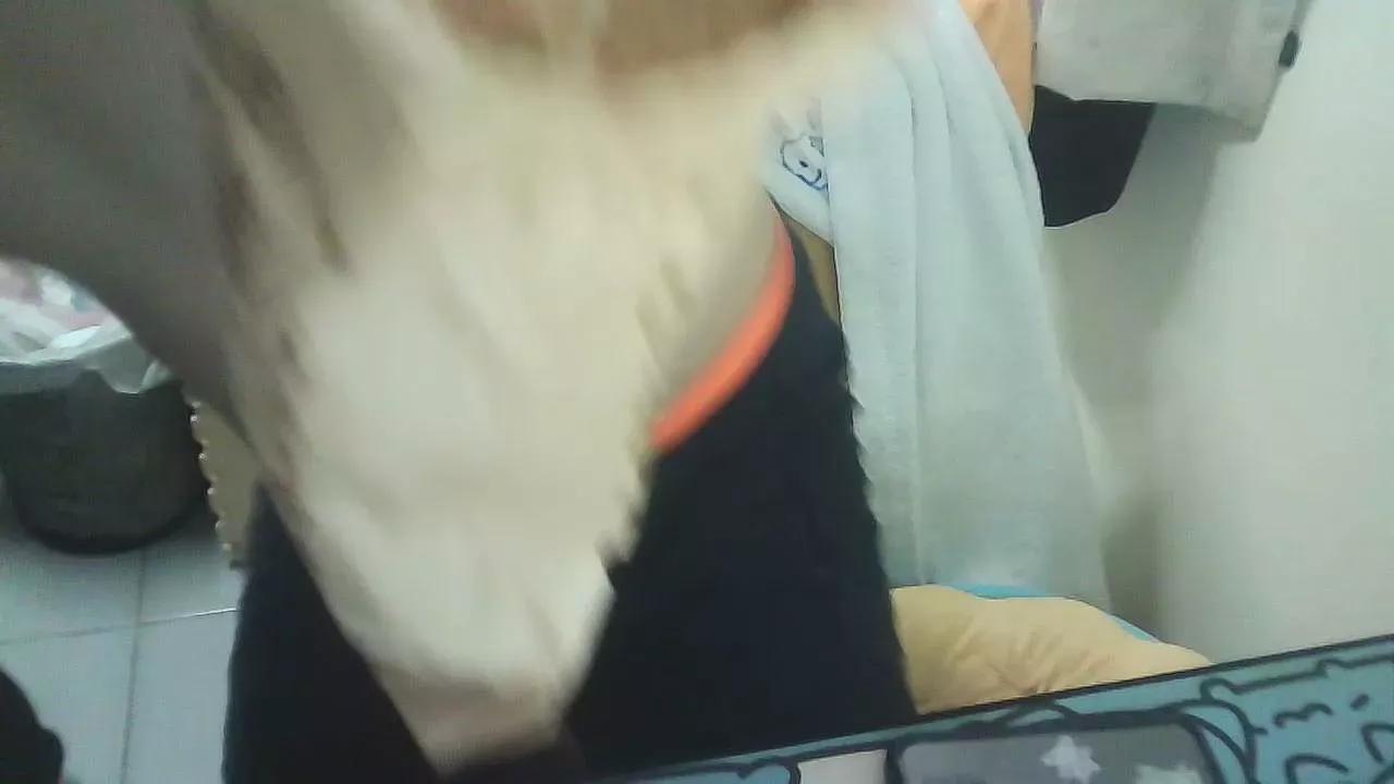 PUZHIJUN on Cam4 