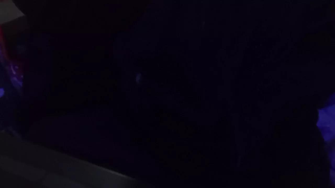 quetx on Cam4 