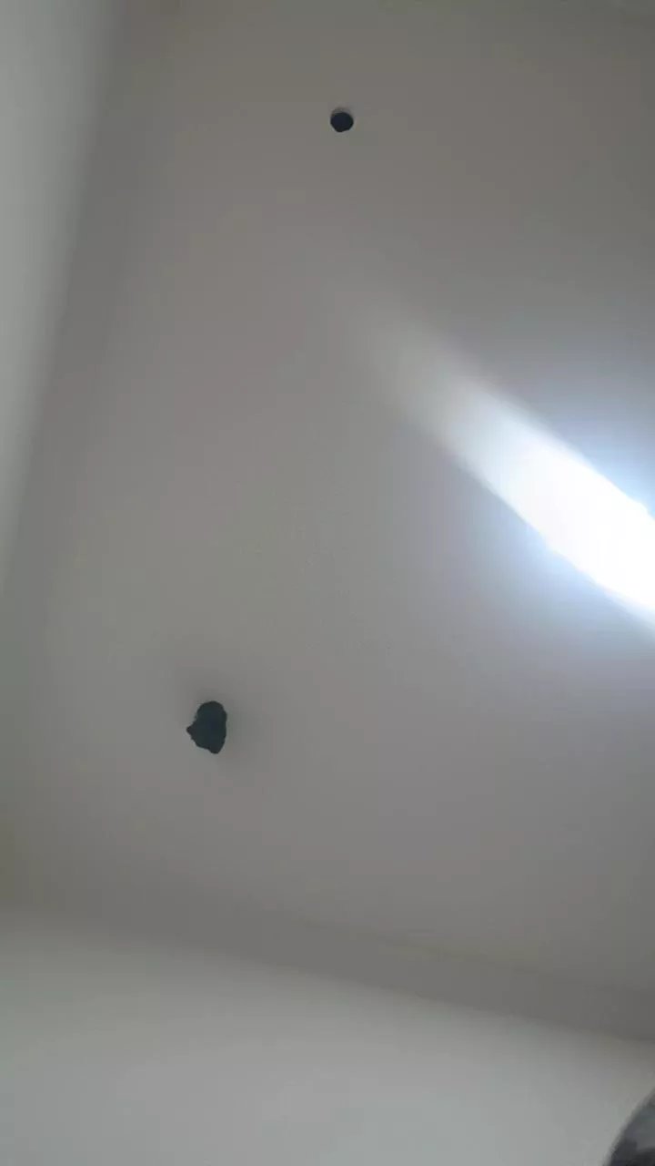 Offline Saradooo on Cam4