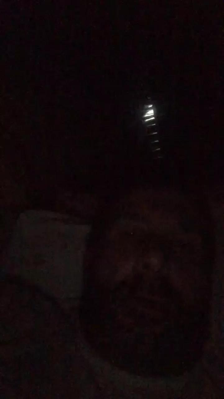Simo2209 on Cam4 