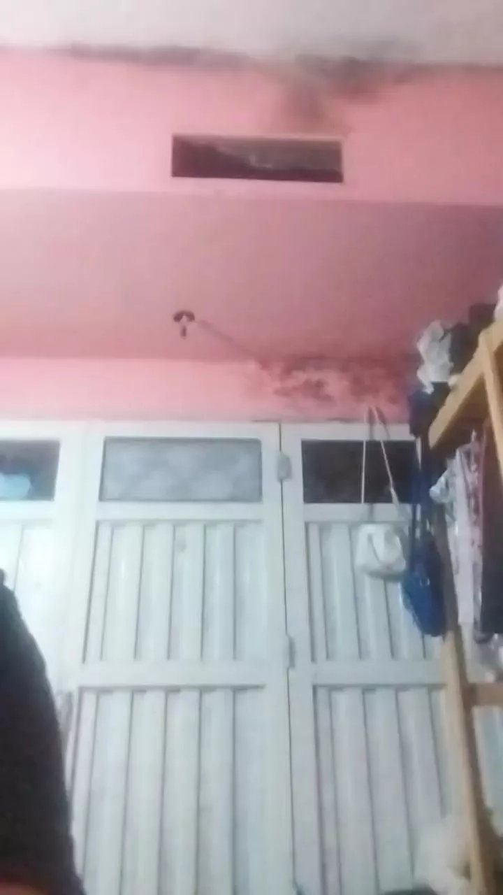 Offline Sofiabelen691 on Cam4