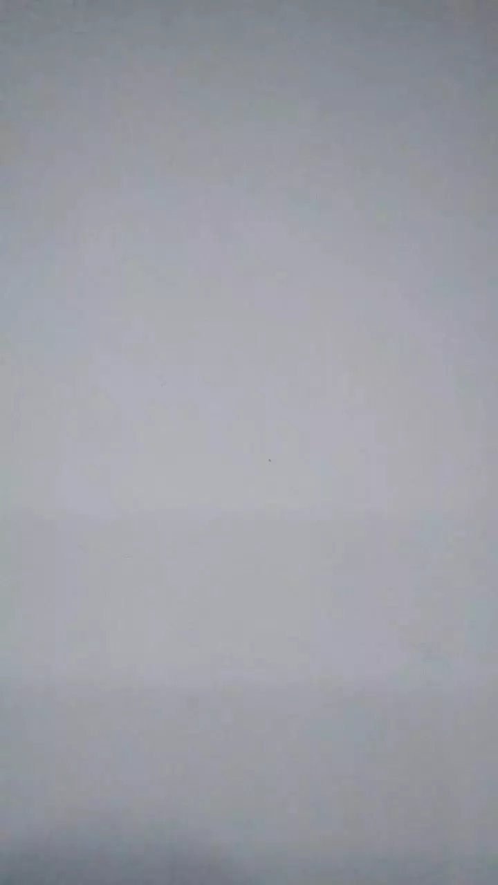 Offline Sofiabelen691 on Cam4