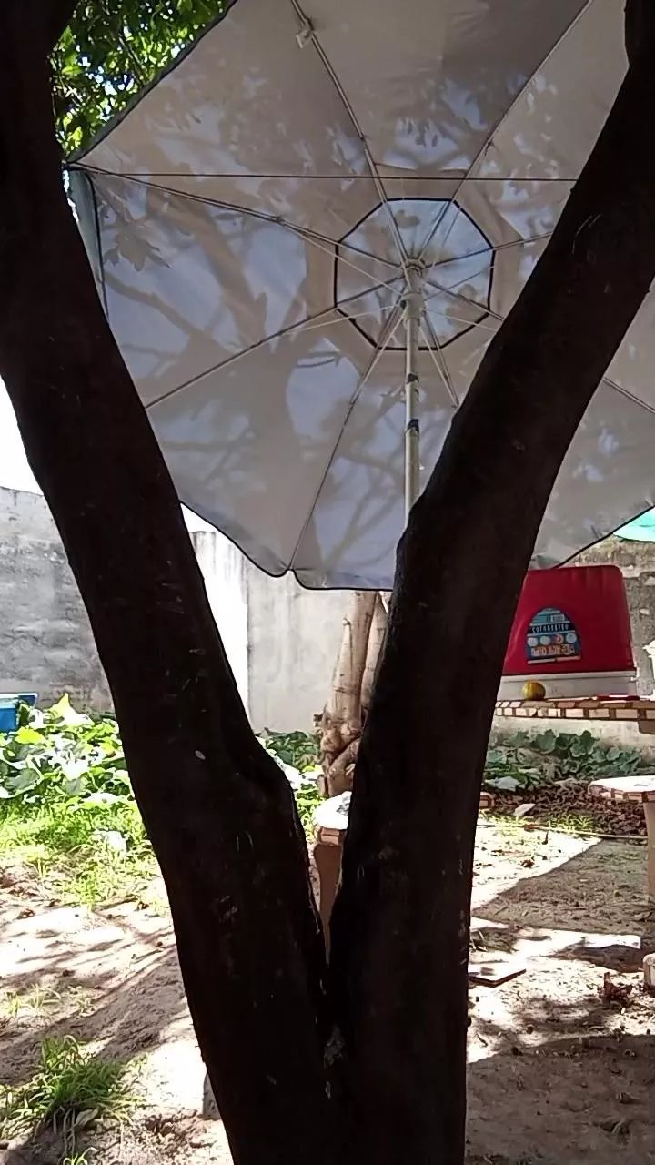 Offline Vairon_hoot on Cam4