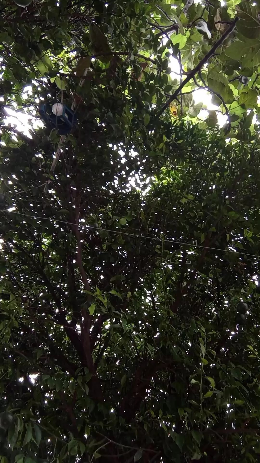 Offline Vairon_hoot on Cam4