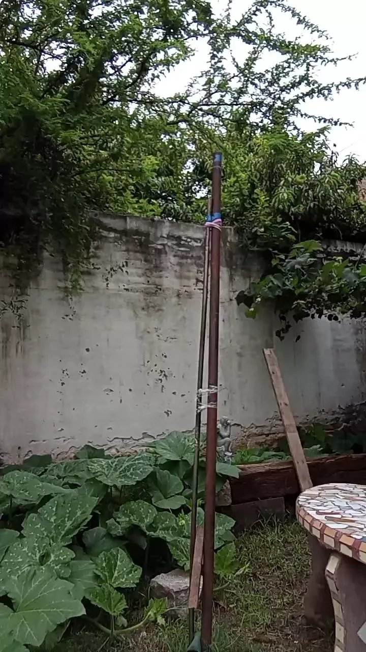 Offline Vairon_hoot on Cam4