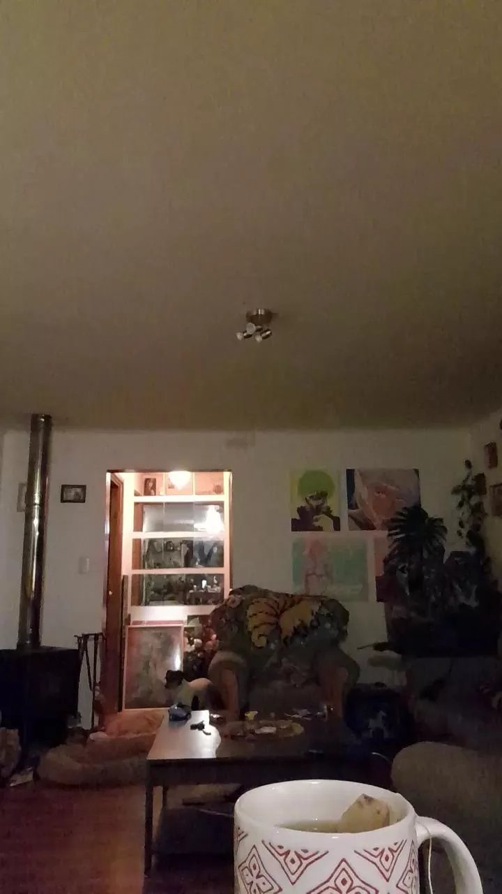 Offline VecinoChileno on Cam4