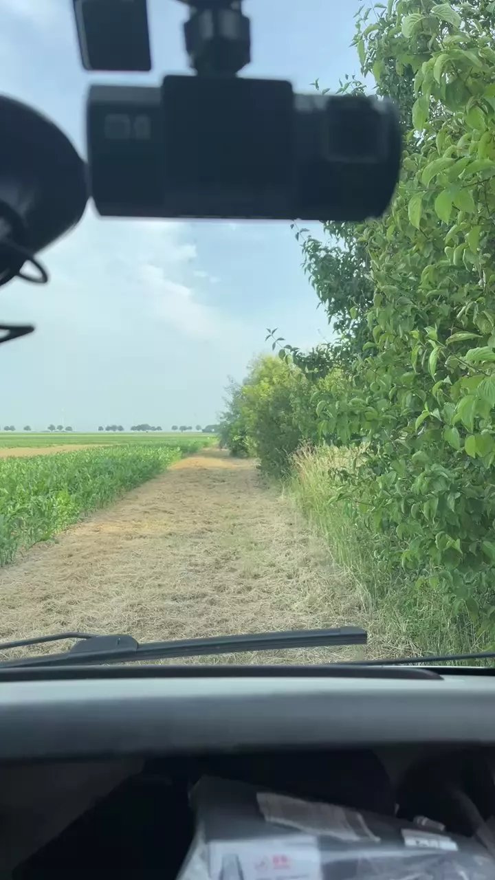 Offline Verena_42 on Cam4