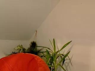 kiera_harris on Flirt4Free 