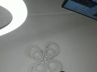 mayda_charlie on Flirt4Free 