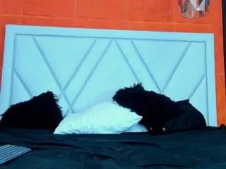 tobias_vega on Flirt4Free 
