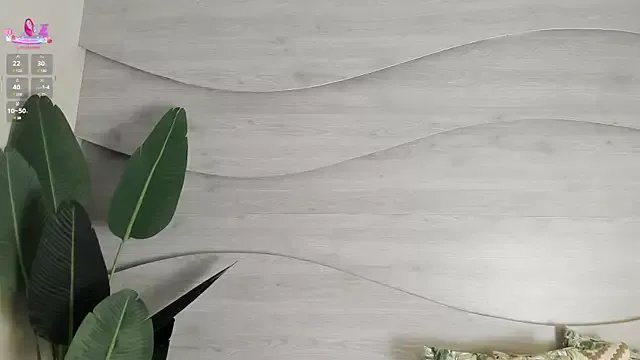 Freechat Will_Hendrix on StripChat